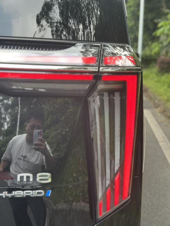 GAC Trumpchi M8 2023 Hybrid photo 4