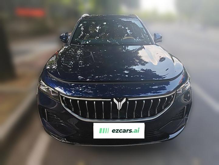 Voyah FREE 2021 AWD Standard EREV Luxury photo 2