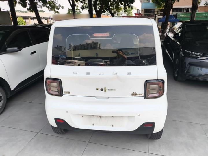 2023 Panda mini 200km Endurance Bear photo 5