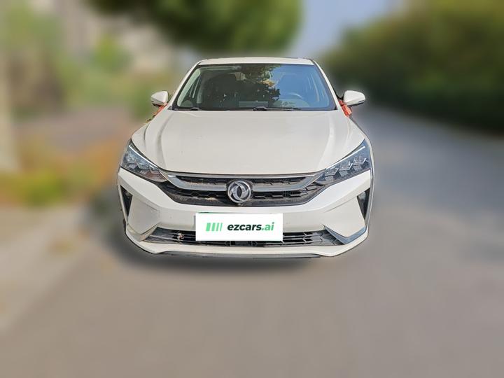Yixuan 2020 230T AT photo 2