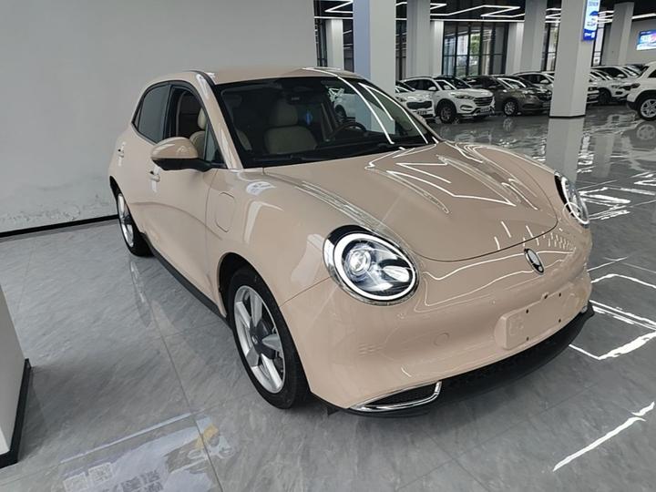 Good Cat 2023 401km Standard Range LFP photo 3