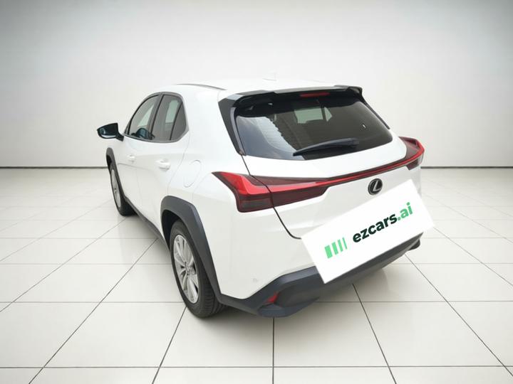 UX 2020 200 Special photo 4