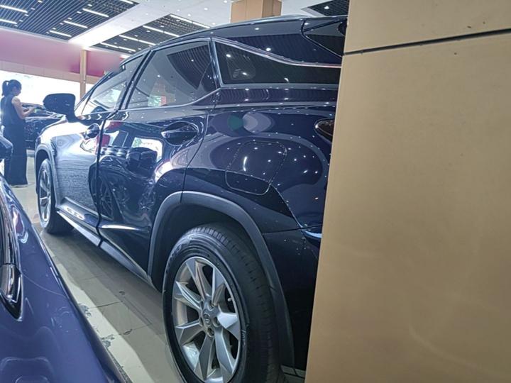 RX 2016 300 RWD Comfort China V photo 4