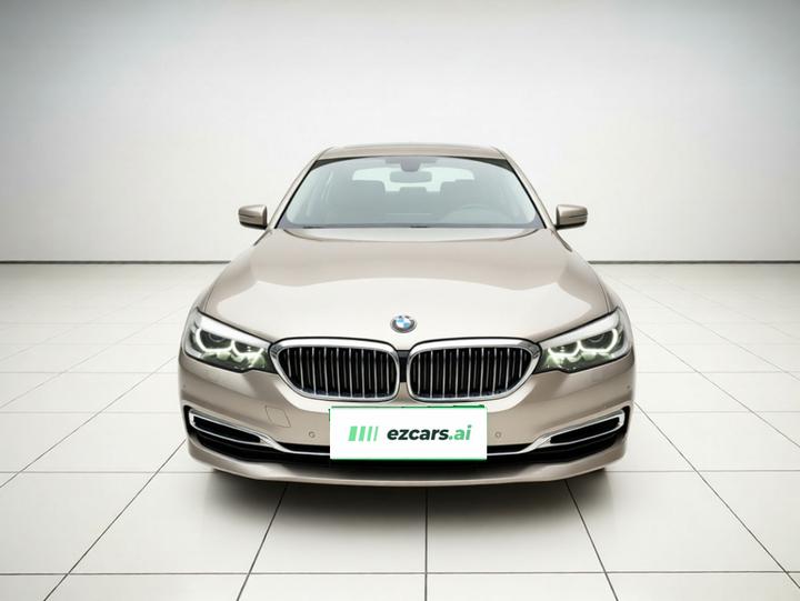 5 Series 2020 525Li Luxury photo 2