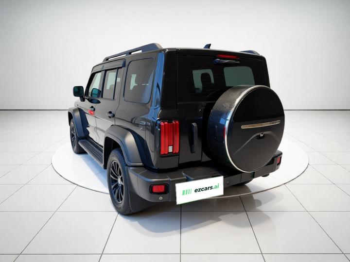 300 2021 Off-road 2.0T Conqueror photo 4