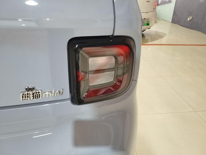 2025 210km Panda photo 7