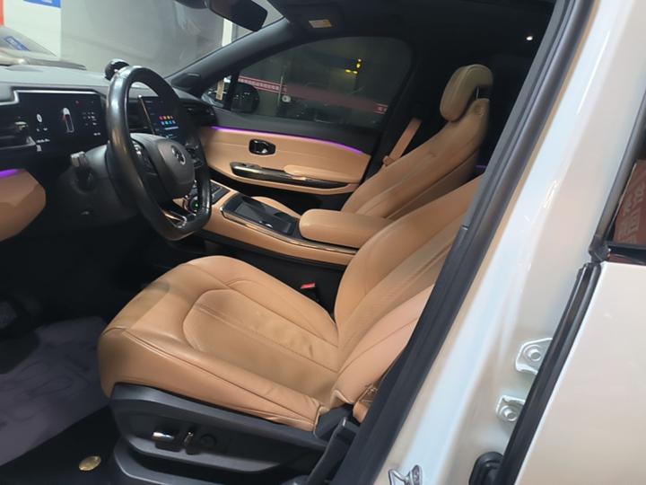 ES6 2020 455KM Sport photo 7