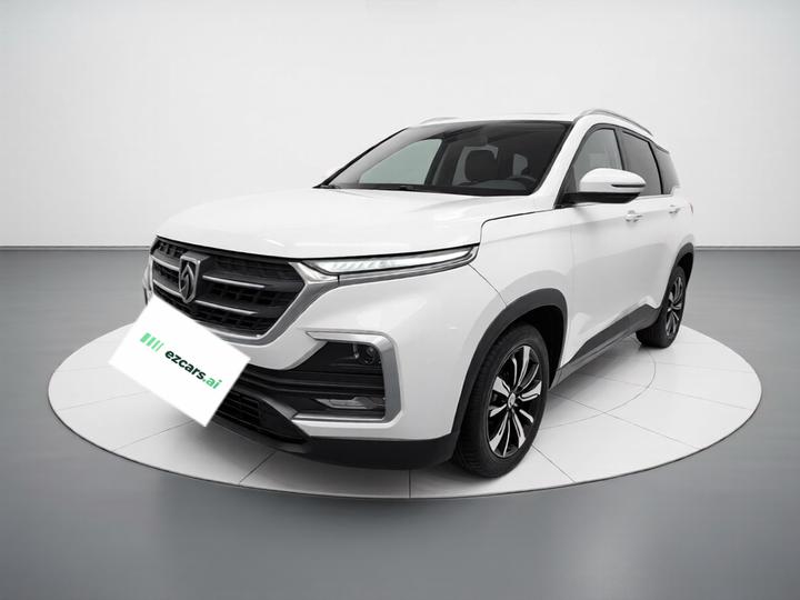 530 2019 1.5T CVT Premium China V