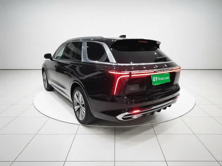 E-HS9 2021 460km 6-Seater photo 4