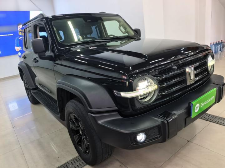 300 2023 Off-road 2.0T Conqueror photo 3
