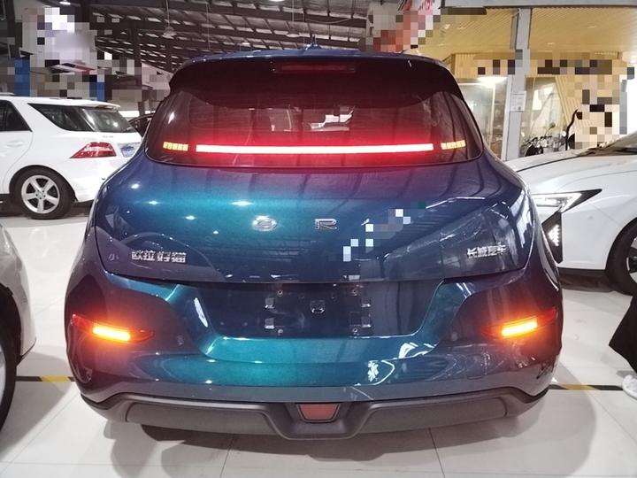 Good Cat 2023 401km Standard Range Luxury LFP photo 5