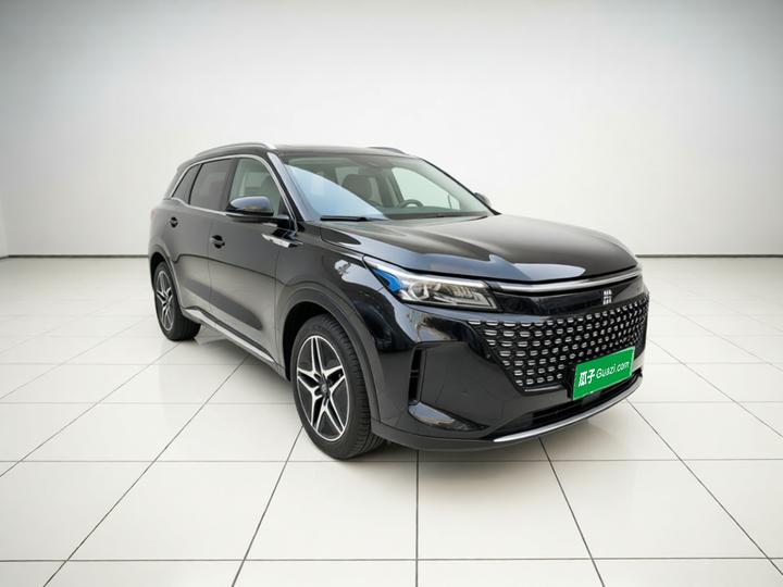 Bluelectric E5 2023 1.5L DE-i 100KM 7-Seater photo 3