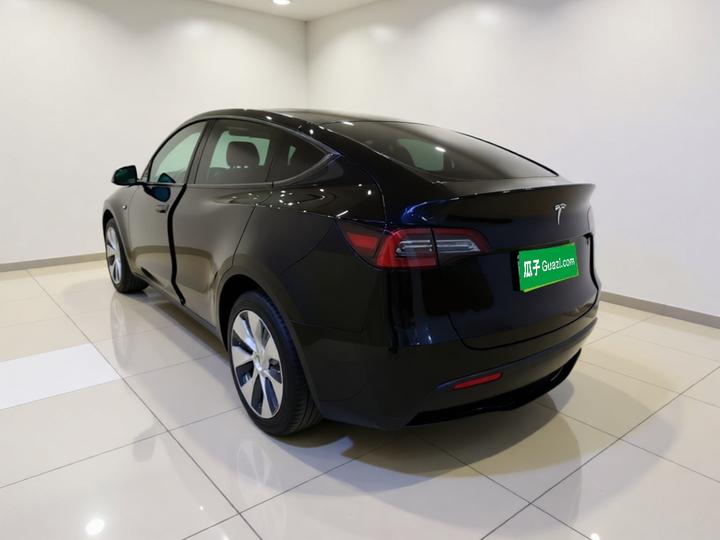 Model Y 2021 Long Range AWD photo 4