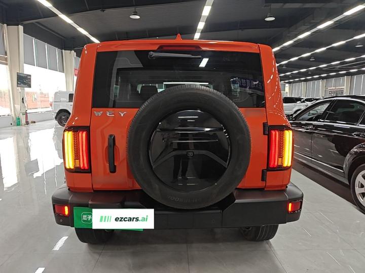 300 2021 Off-road 2.0T Conqueror photo 5