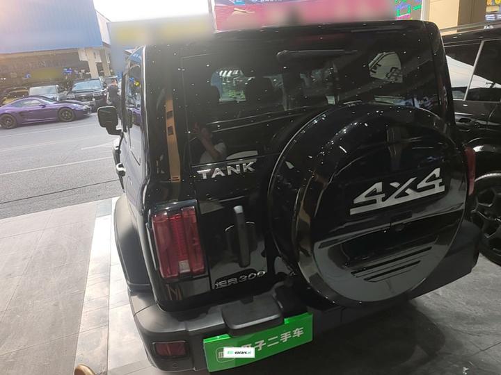 300 2021 Off-road 2.0T Conqueror photo 4
