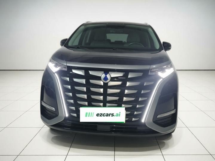 D9 2022 DM-i 970 AWD Noble photo 2