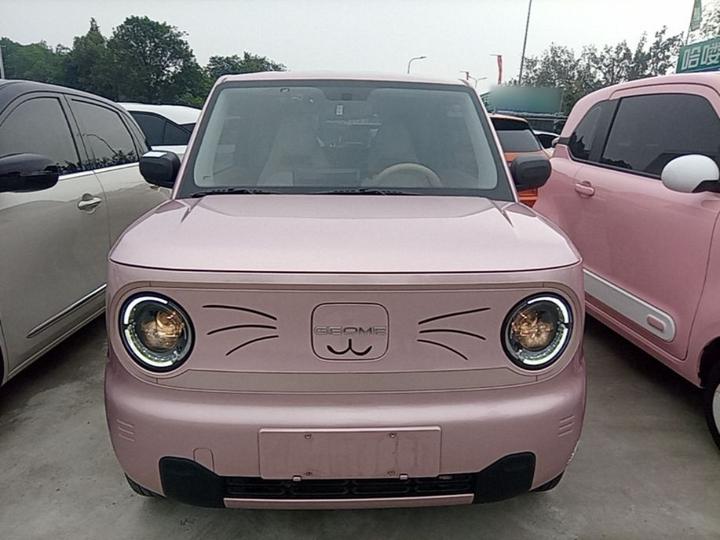 2023 Panda mini 200km Endurance Bear photo 2