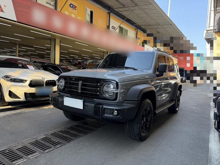 300 2021 Off-road 2.0T