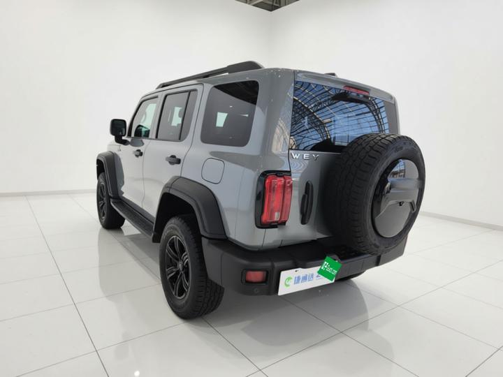 300 2021 Off-road 2.0T photo 4
