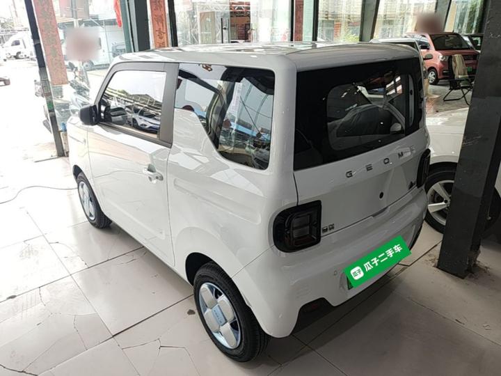 2024 Panda mini 200km Endurance Bear photo 4