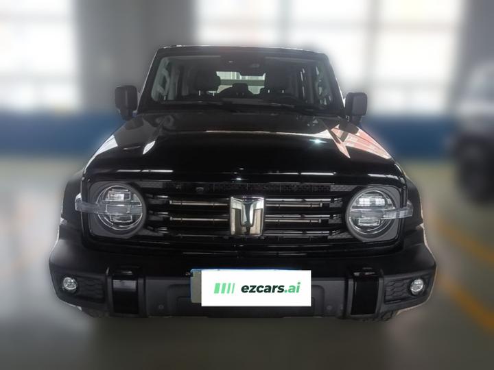 300 2025 2.0T Petrol photo 2