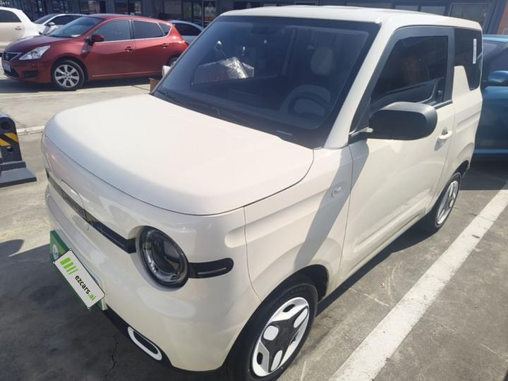 2025 Panda mini 210km Yuan