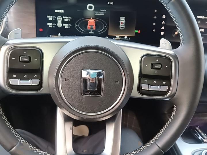 300 2021 Off-road 2.0T Conqueror photo 6