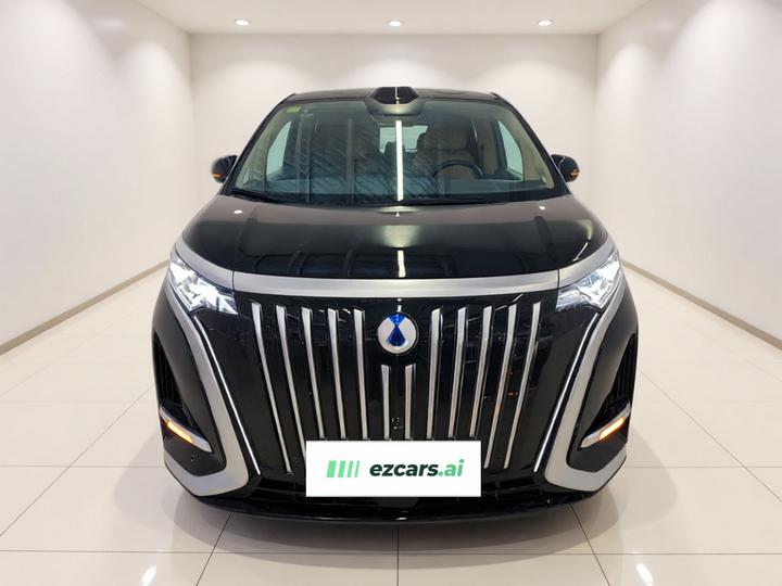 D9 2024 EV 600 AWD Flagship photo 2