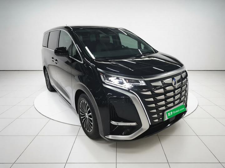 D9 2024 DM-i 980 AWD Noble photo 3
