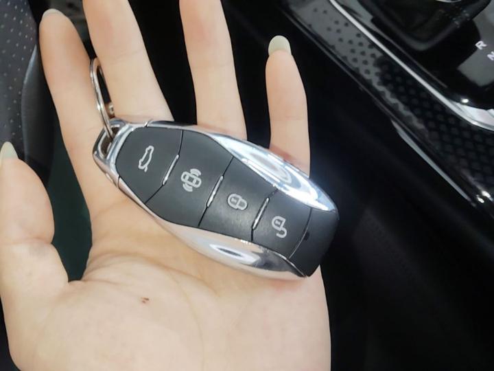 HS3 PHEV 2025 117km PLUS photo 8