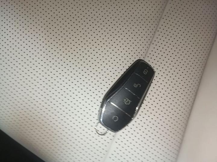 Seal 2023 DM-i 1.5L 121km Premium photo 8