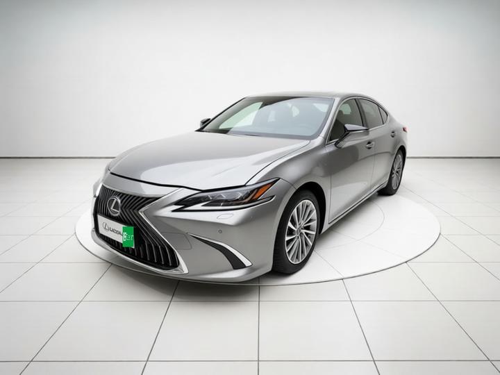 ES 2020 300h Executive