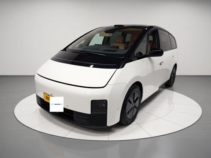 Li MEGA 2025 Home Family Special