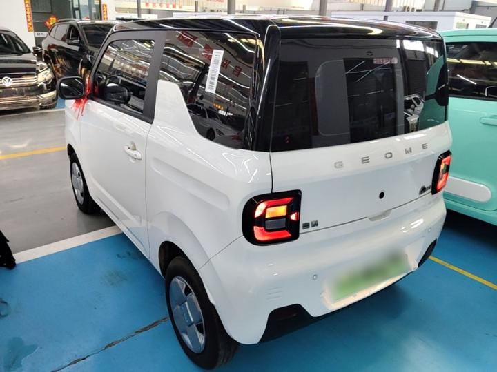2024 Panda mini 200km Endurance Bear photo 4