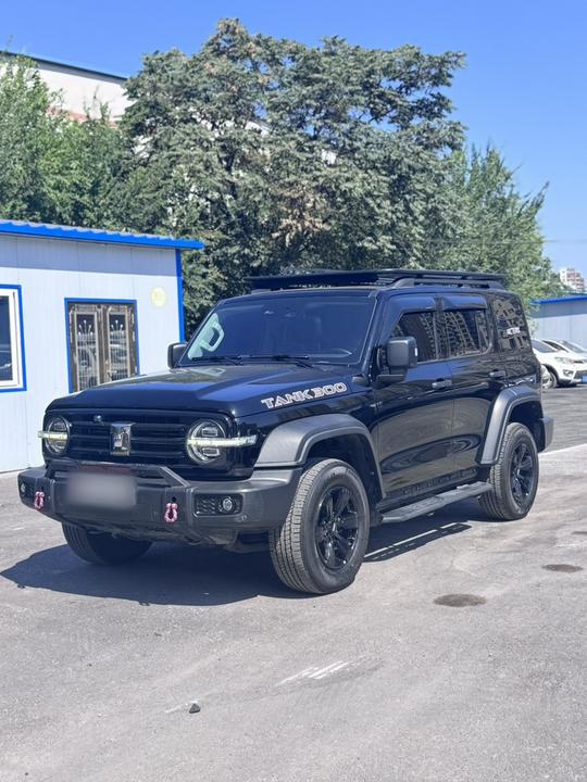 300 2021 Off-road 2.0T Conqueror