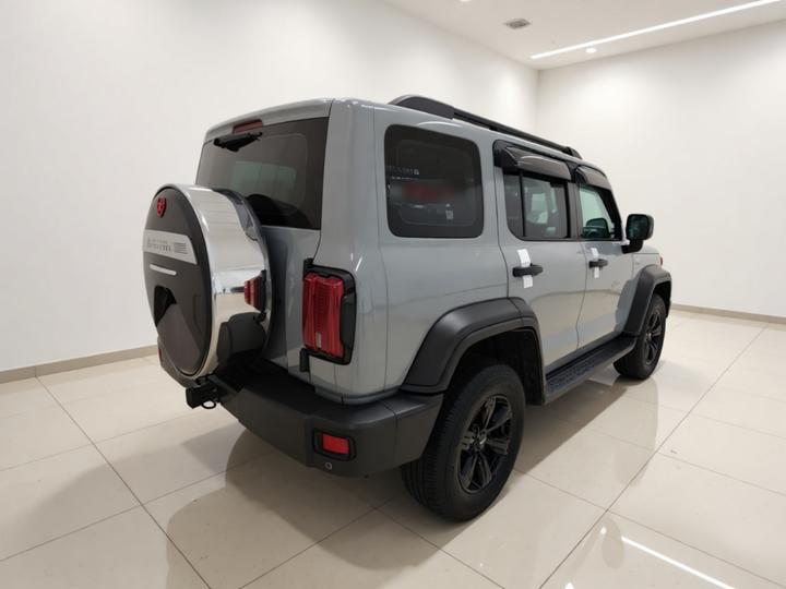 300 2021 Off-road 2.0T Conqueror photo 6