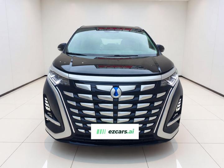 D9 2024 DM-i 980 AWD Noble photo 2