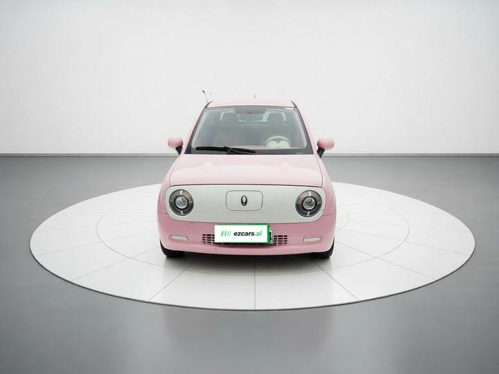 2021 301km photo 2