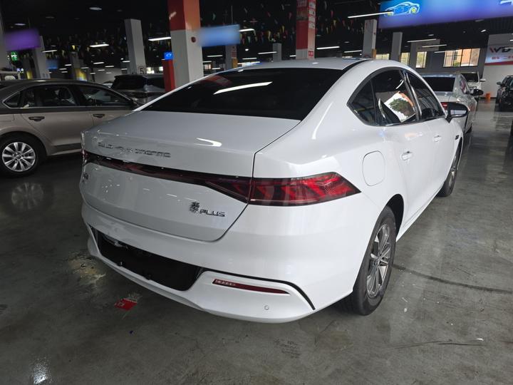 Qin PLUS 2024 Honor DM-i 55KM Leading photo 4