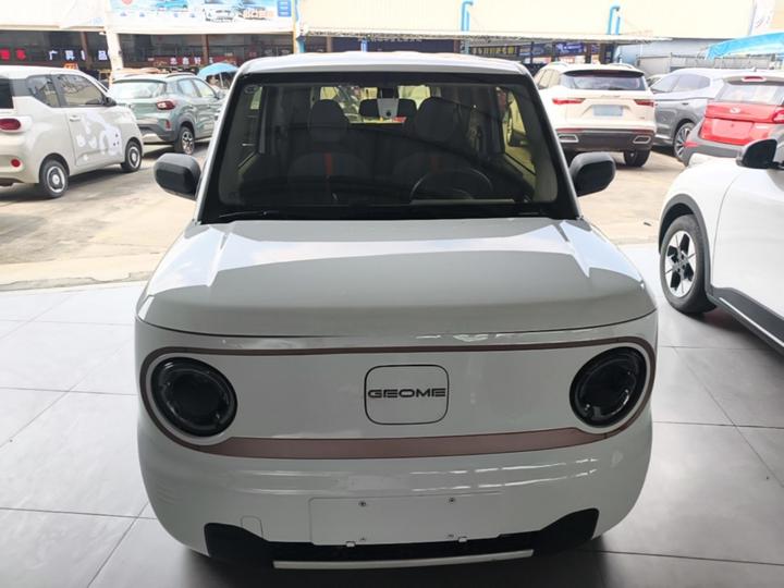 2023 Panda mini 200km Endurance Bear photo 2