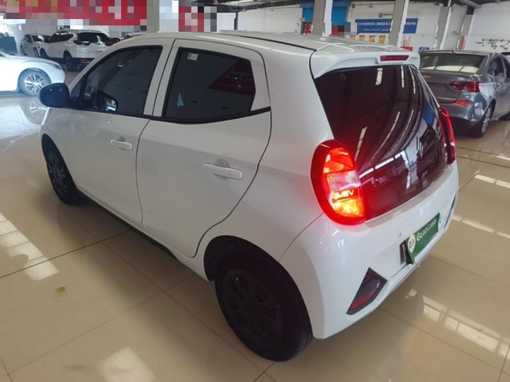 EV EV2 2023 201km Comfort photo 4