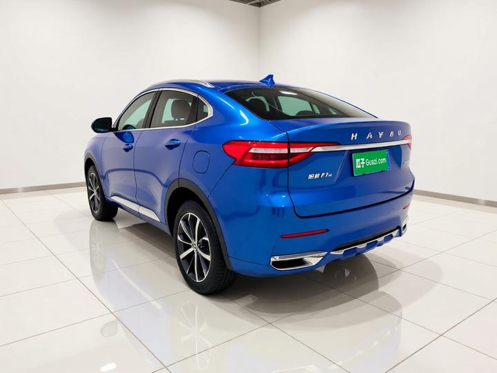 F7x 2019 1.5T RWD Tech photo 4