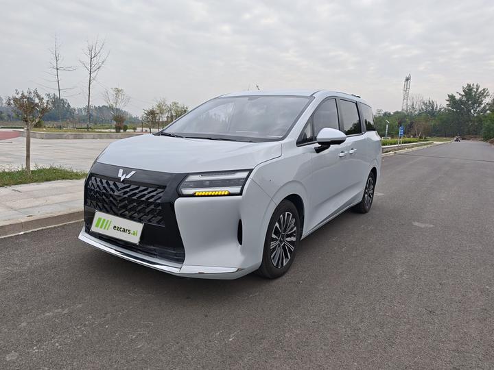 730 EV 2025 125km Luxury