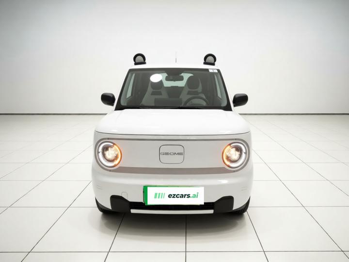2024 Panda mini 200km Endurance Bear photo 2