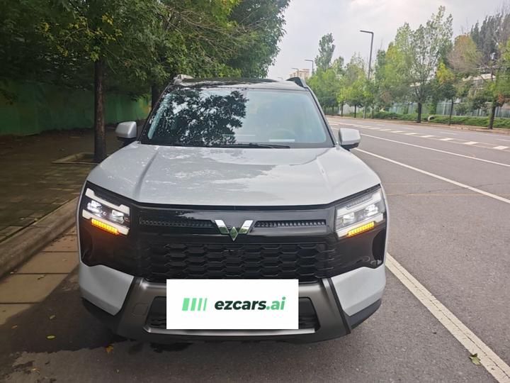 560 EV 2026 125km Luxury photo 2