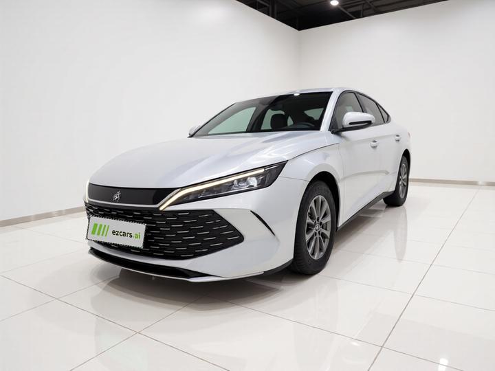 Qin L 2024 DM-i 80KM Leading