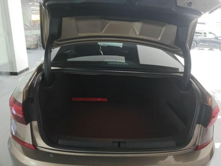 Passat 2019 330TSI Luxury China VI photo 8