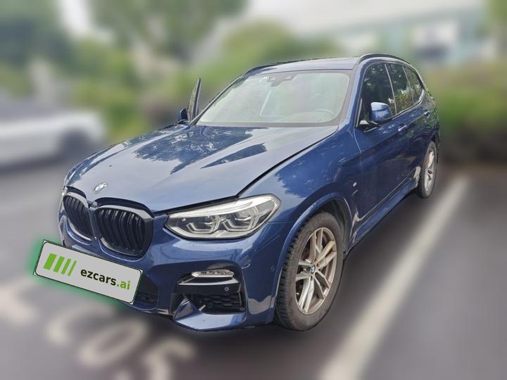 X3 2018 xDrive30i Leading M Sport Package China V