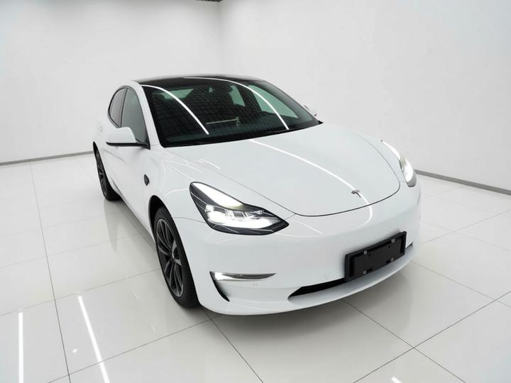 Model 3 2022 RWD photo 3