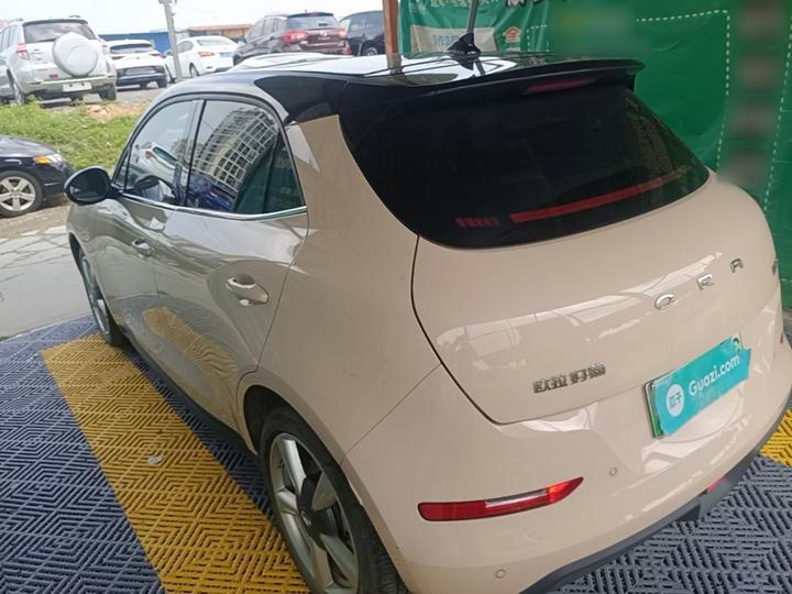 Good Cat 2022 400km Standard Range Premium LFP photo 4